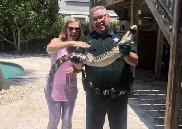 10 Laugh-Out-Loud Wildlife Moments — Wait Until You See #7’s Cheeky Grin! 10 Laugh-Out-Loud Wildlife Moments — Wait Until You See #7’s Cheeky Grin!