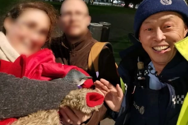 10 Laugh-Out-Loud Wildlife Moments — Wait Until You See #7’s Cheeky Grin! 10 Laugh-Out-Loud Wildlife Moments — Wait Until You See #7’s Cheeky Grin!