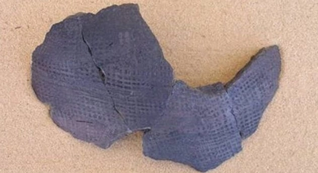 10 Shockingly Unexpected “Paleo Diet” Foods — #5 Is Absolutely Mind-Bending 10 Shockingly Unexpected “Paleo Diet” Foods — #5 Is Absolutely Mind-Bending