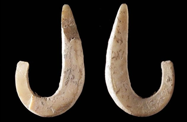 10 Shockingly Unexpected “Paleo Diet” Foods — #5 Is Absolutely Mind-Bending 10 Shockingly Unexpected “Paleo Diet” Foods — #5 Is Absolutely Mind-Bending