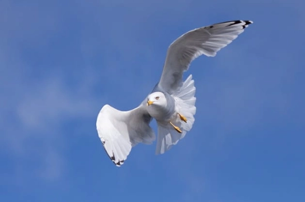 10 Laugh-Out-Loud Wildlife Moments — Wait Until You See #7’s Cheeky Grin!