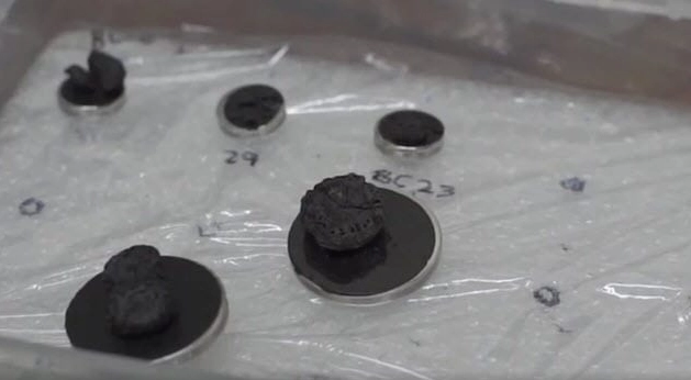 10 Shockingly Unexpected “Paleo Diet” Foods — #5 Is Absolutely Mind-Bending 10 Shockingly Unexpected “Paleo Diet” Foods — #5 Is Absolutely Mind-Bending