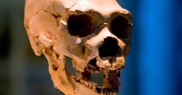 10 Shockingly Unexpected “Paleo Diet” Foods — #5 Is Absolutely Mind-Bending 10 Shockingly Unexpected “Paleo Diet” Foods — #5 Is Absolutely Mind-Bending