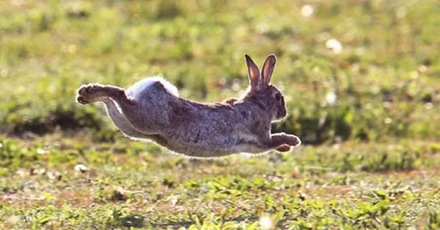 10 Shockingly Unexpected “Paleo Diet” Foods — #5 Is Absolutely Mind-Bending 10 Shockingly Unexpected “Paleo Diet” Foods — #5 Is Absolutely Mind-Bending